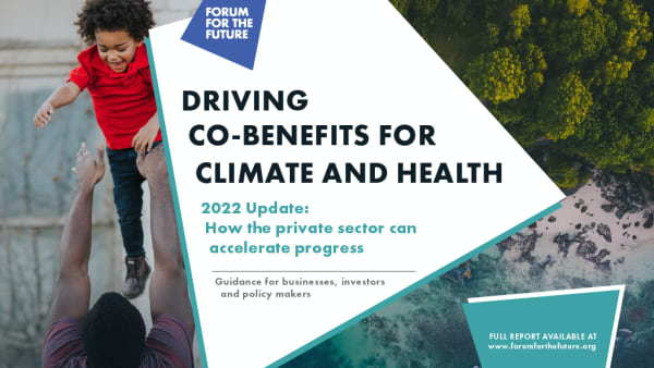 Driving Co-Benefits For Climate And Health - 2022 Update:  How the private sector can accelerate progress